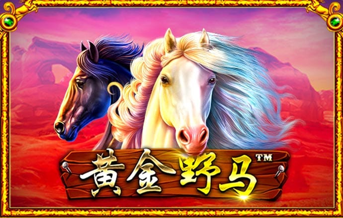 分分28预测在线预测100%