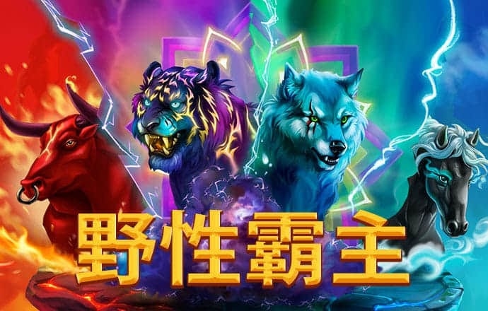 亡灵大盗40倍夺宝视频