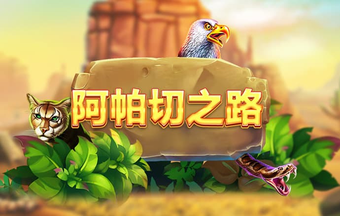 加拿大预测28精准预测