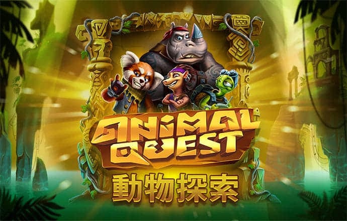 索纳币价格走势图
