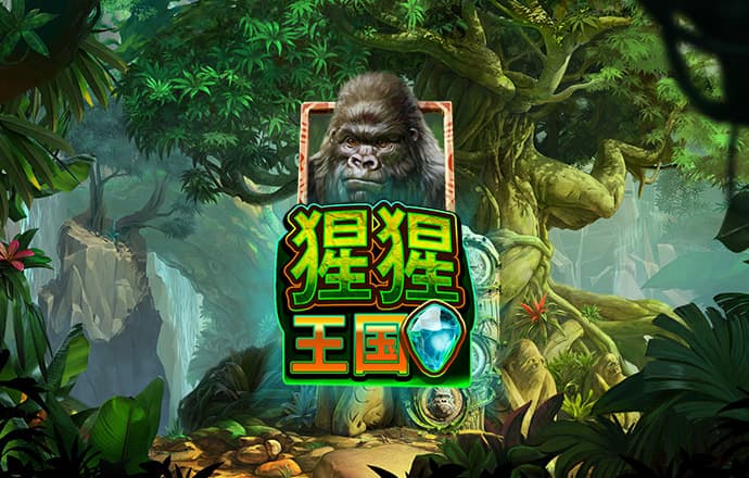 云体育app入口登录官方网址 最新版